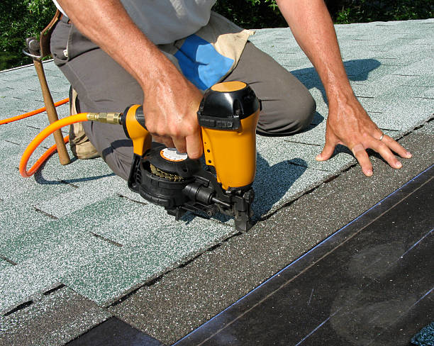Best Roof Gutter Cleaning  in Long Lake, MN