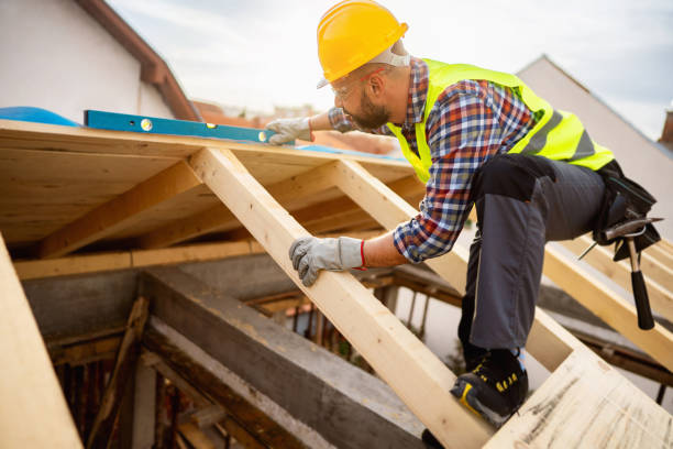 Best Best Roofing Contractors  in Long Lake, MN